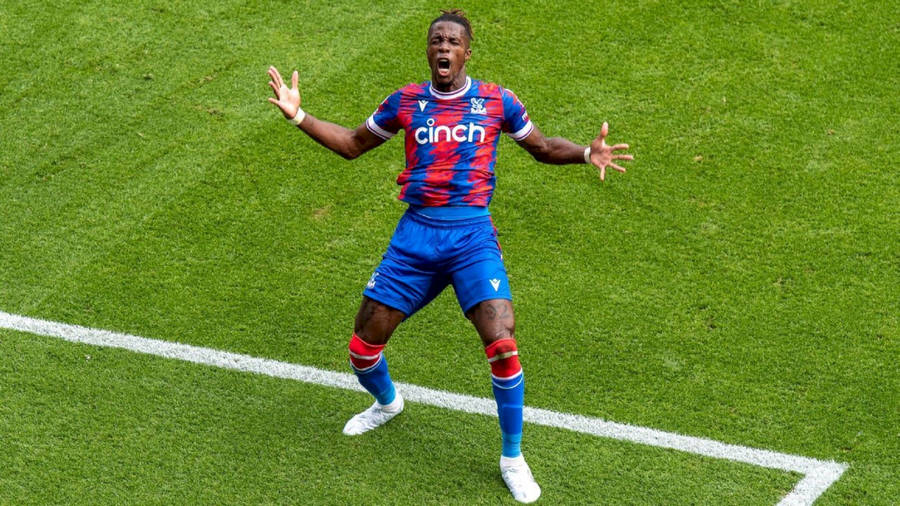 Wilfried Zaha On Grassy Field Wallpaper