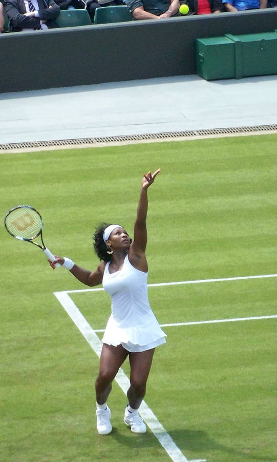 Wimbledon Champion Serena Williams Serving Wallpaper
