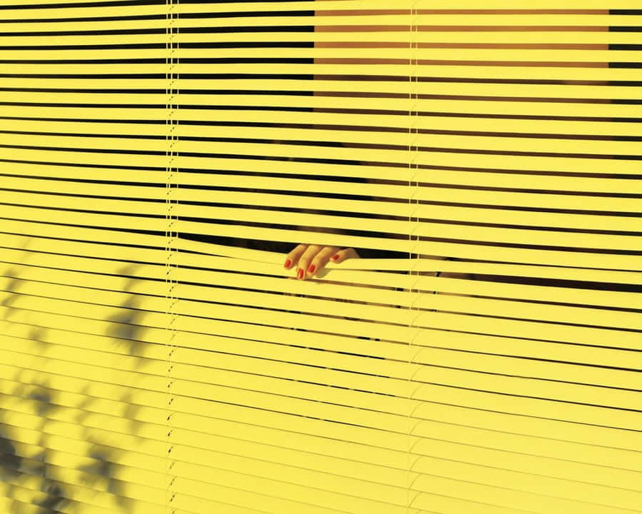 Window Blinds In Yellow Aesthetic Desktop Wallpaper