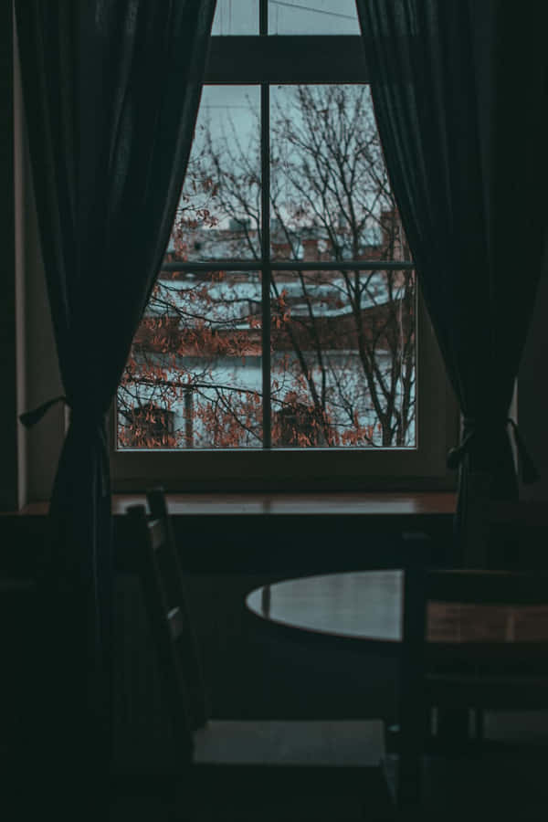 Window Curtains Silhouette Wallpaper