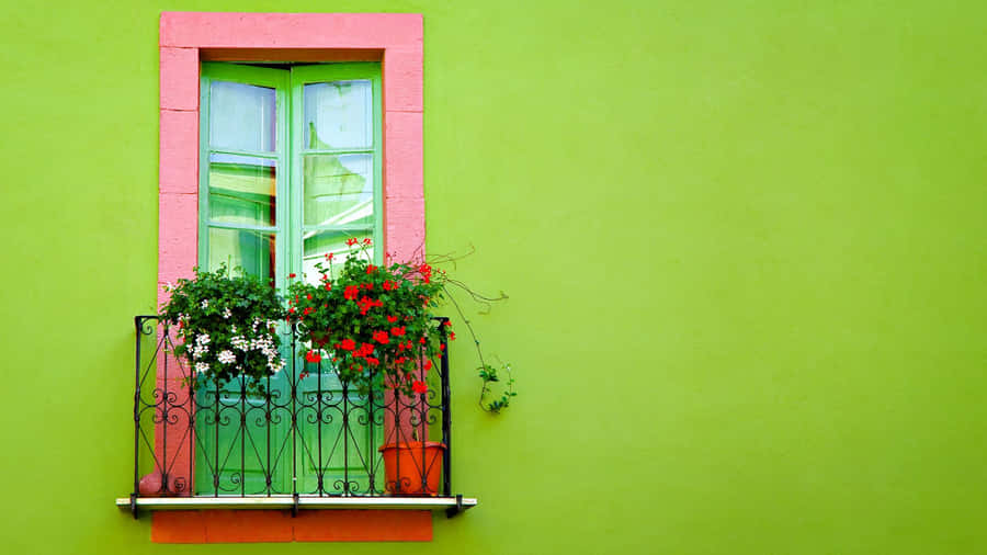 Window Yellow Green Wallpaper