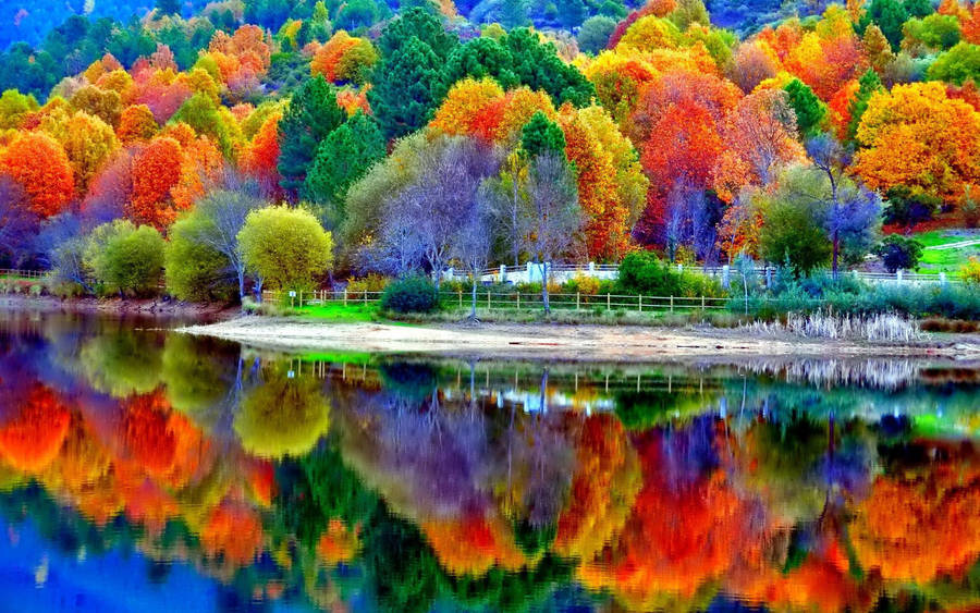 Windows 11 4k Colorful Trees Wallpaper