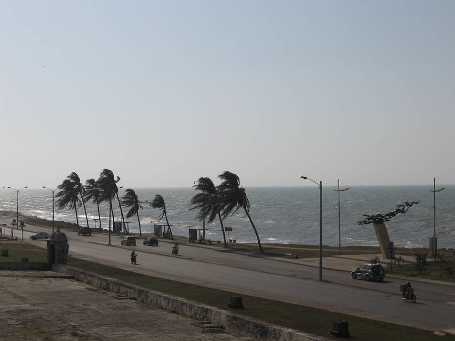 Windy Day In Avenida Santander In Cartagena Wallpaper