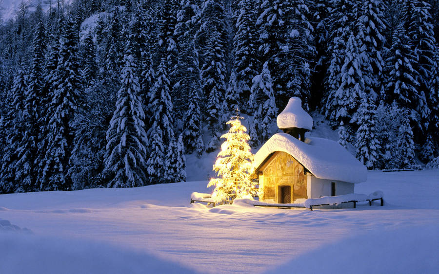 Winter Christmas Bright Tree Wallpaper