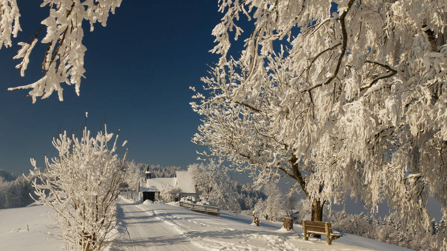 Winter Dusk Cold Park Wallpaper