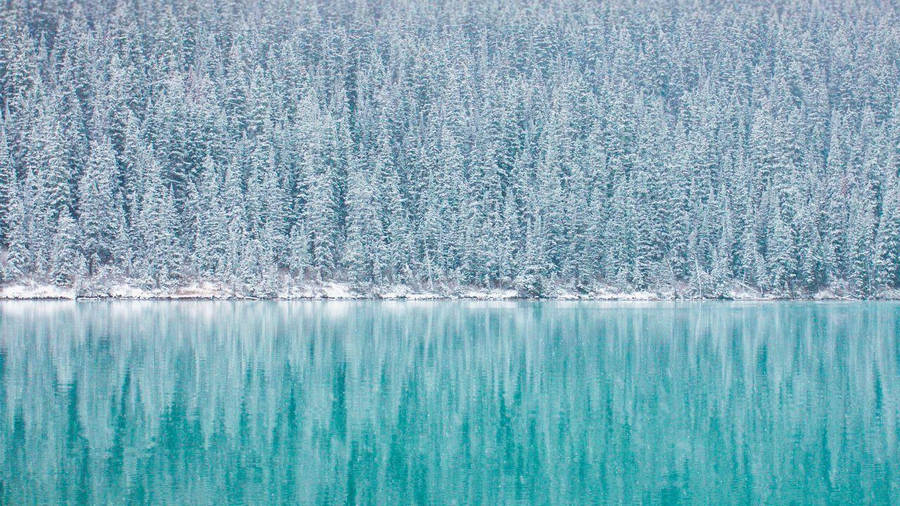 Winter Forest Reflection Lake.jpg Wallpaper