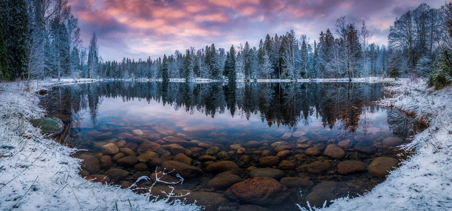 Winter_ Forest_ Sunset_ Reflection.jpg Wallpaper