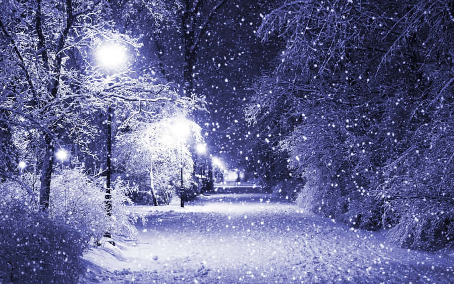 Winter Light For Laptop Wallpaper
