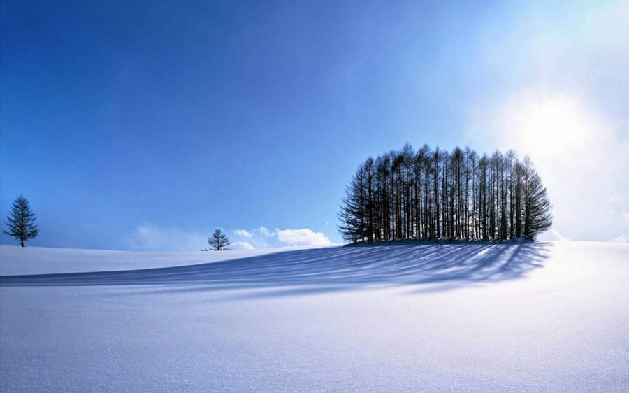 Winter Scene Clean Wallpaper