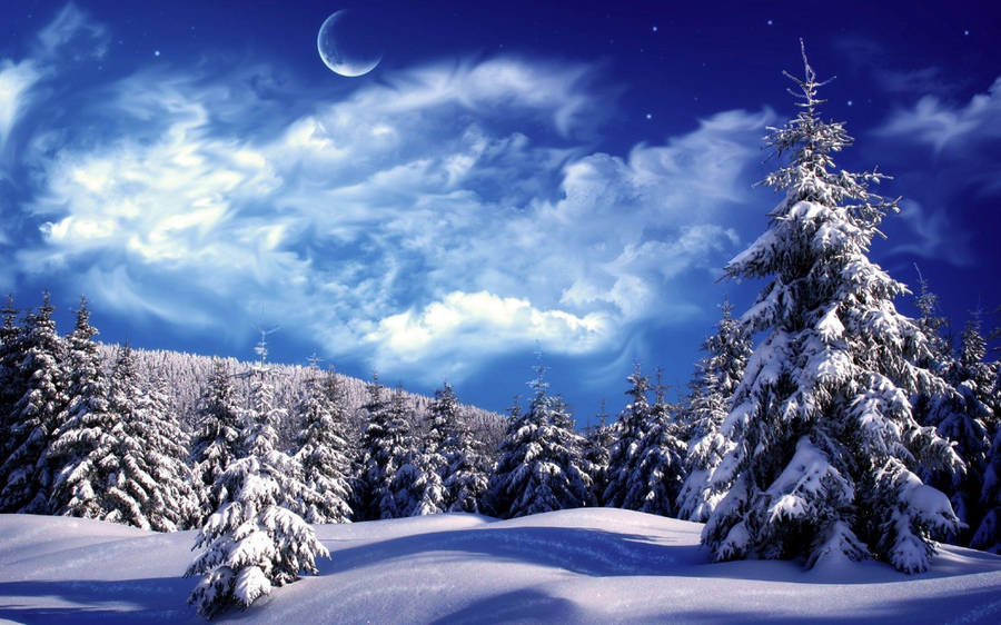 Winter Scene Cloudy Sky Wallpaper