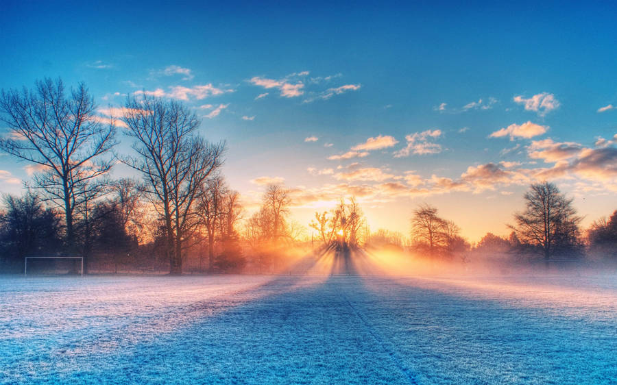 Winter Scene Frosty Sunset Wallpaper