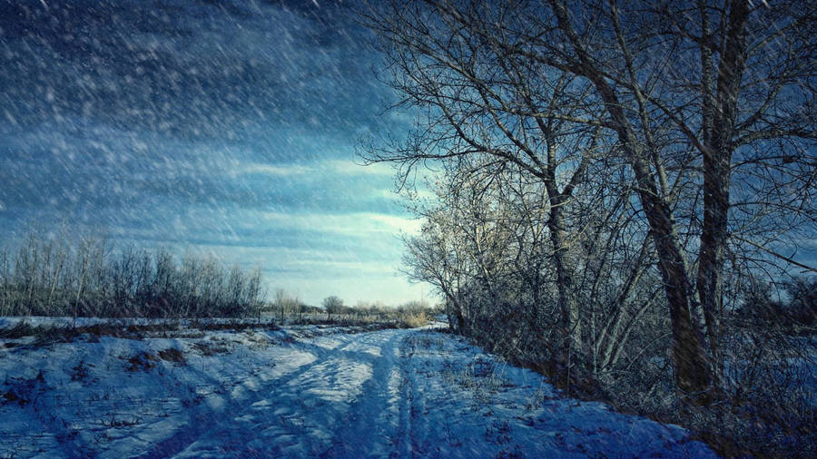 Winter Scene Frozen Road Wallpaper