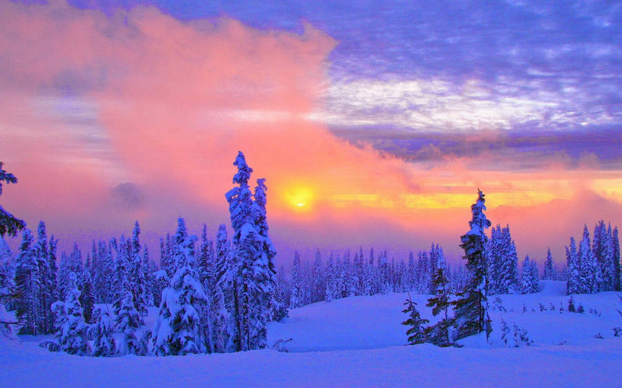 Winter Scene Intense Sunset Wallpaper