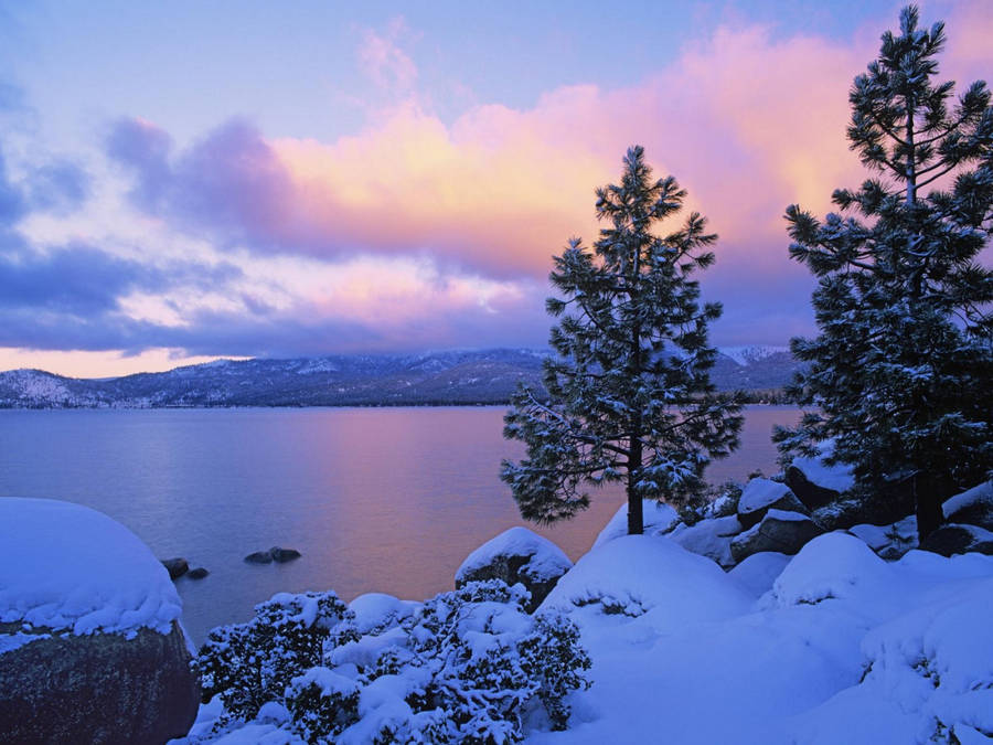 Winter Scene Lake Tahoe Wallpaper