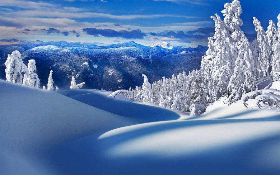 Winter Scene Snowy Landscape Wallpaper