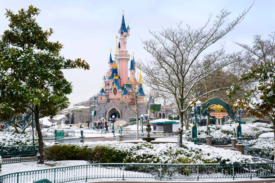 Winter Season In Disneyland Wallpaper