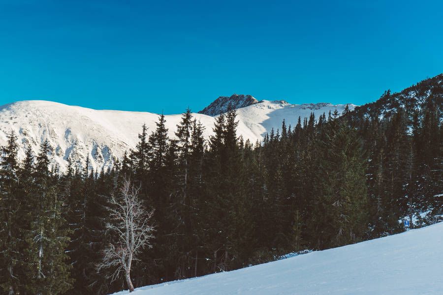 Winter Season In Slovakia Wallpaper