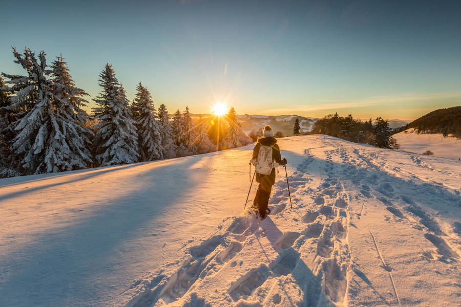 Winter Season Sunset Walk Wallpaper