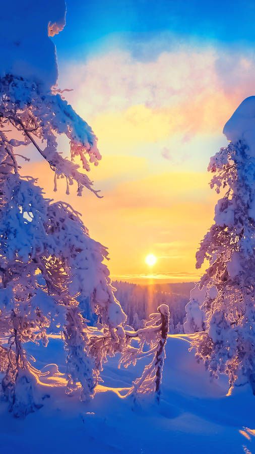 Winter_ Sunrise_ Amidst_ Snowy_ Forest_4 K_ U H D Wallpaper