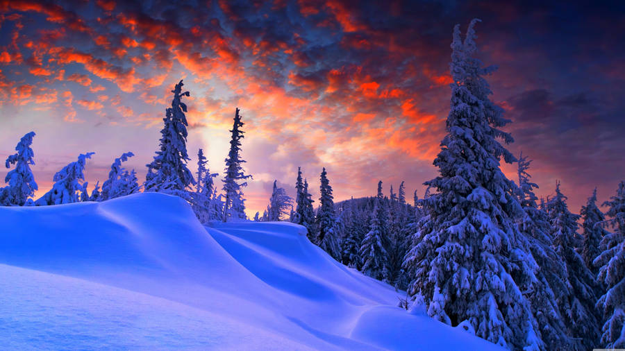 Winter Sunset Scenic Wallpaper