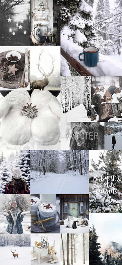 Winter Wonder Wallpaper