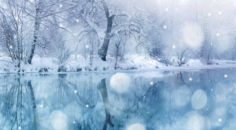 Winter Wonderland Wallpaper