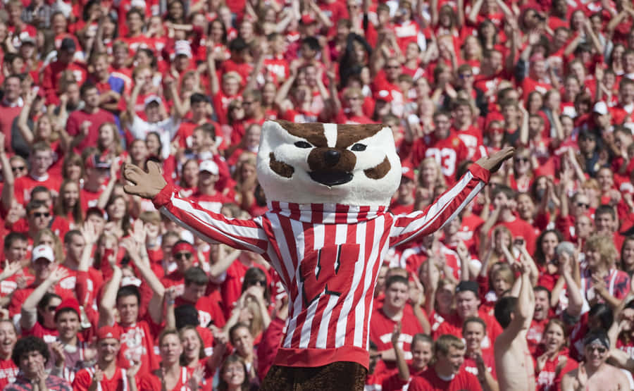 Wisconsin Badgers Team Spirit Wallpaper