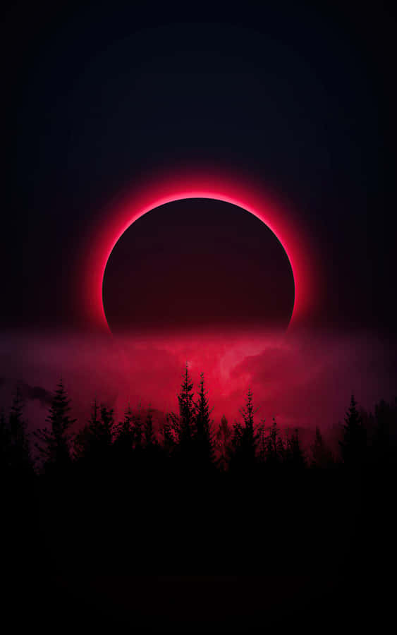 Witness The Beauty Of A Blood Moon Wallpaper