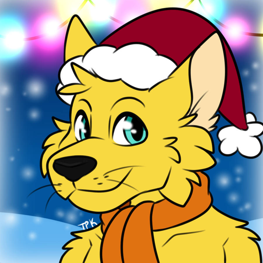 Wolf Christmas Pfp Wallpaper