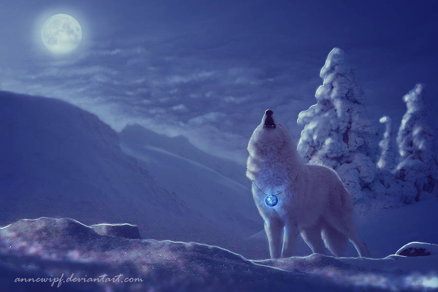 Wolf Howling Winter Landscape Wallpaper