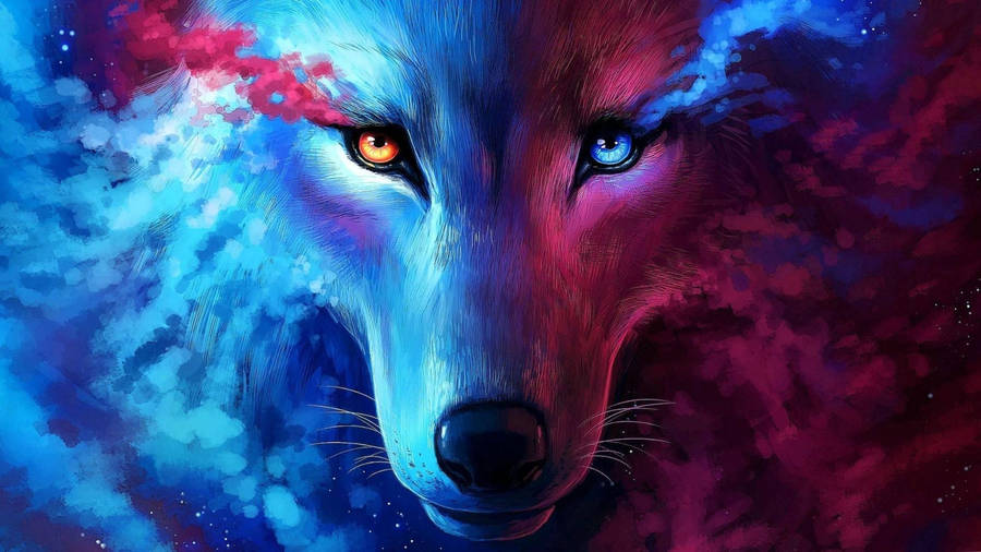 Wolf In Cute Galaxy Wallpaper