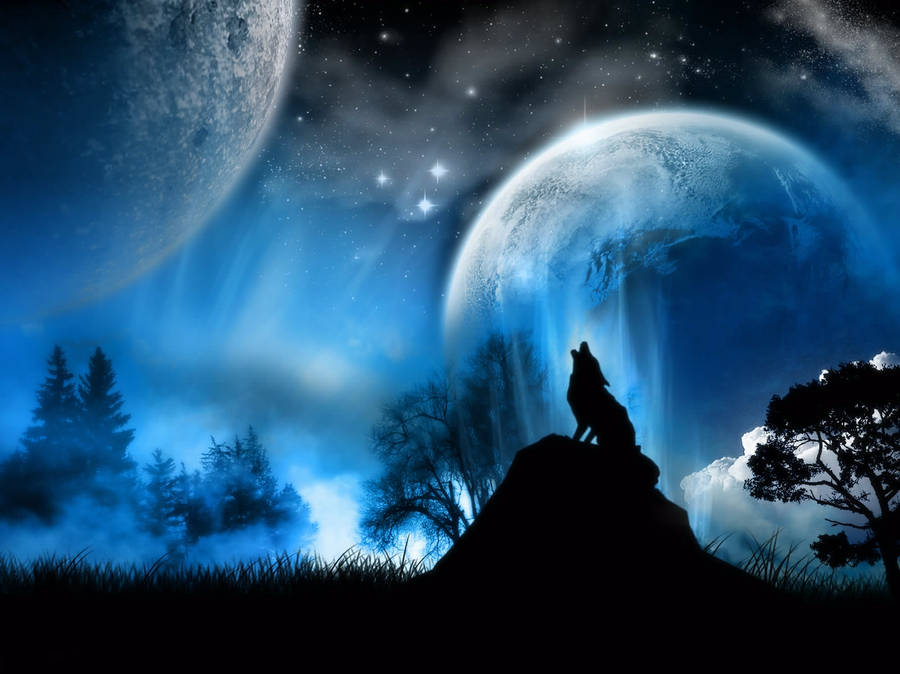 Wolf Silhouette In Fantasy World Wallpaper