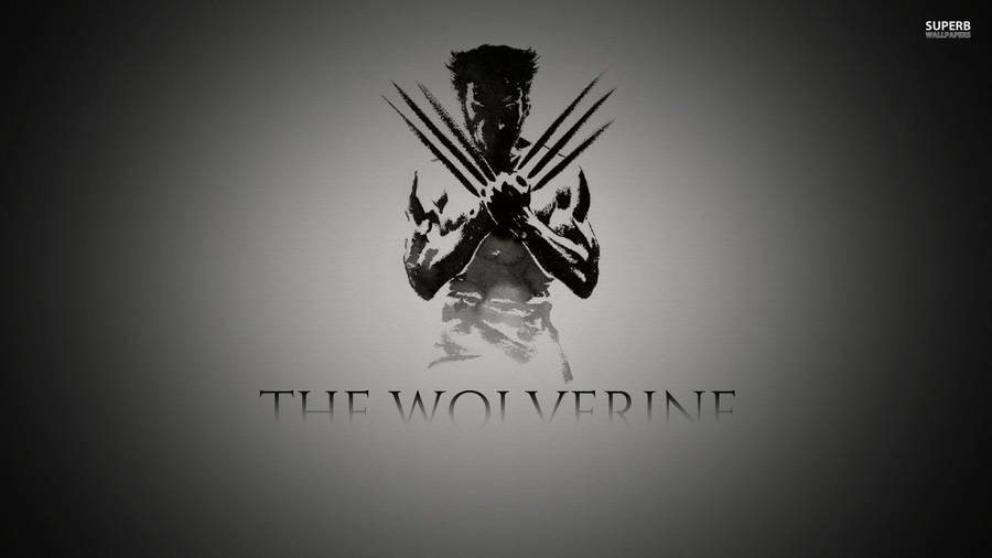 Wolverine Black And White Wallpaper