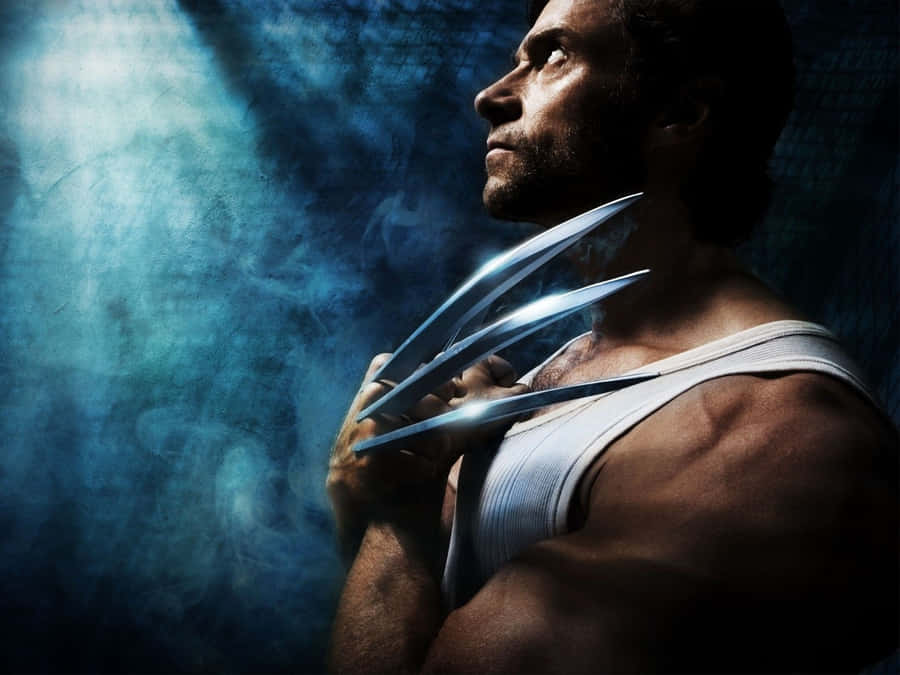 Wolverine In Action Wallpaper