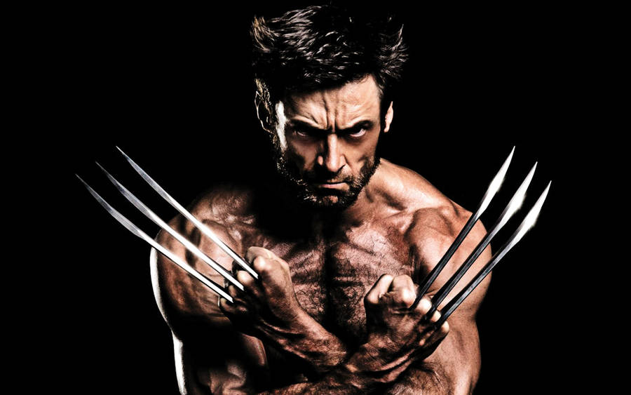 Wolverine With Claws Wallpaper