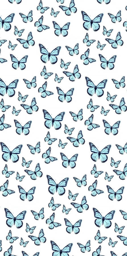 Wonderful Butterfly Iphone Theme Display Wallpaper