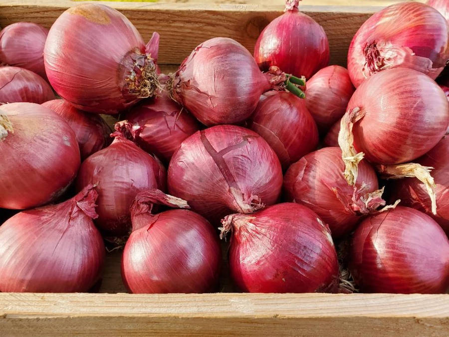 Wooden Box Filled With Red Onions Wallpaper