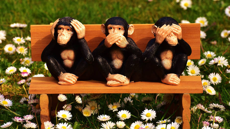 Wooden Chimpanzees At Bench Near Flowers Wallpaper