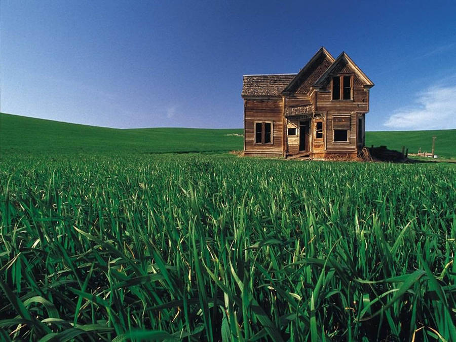 Wooden House On Green Grass Land Wallpaper