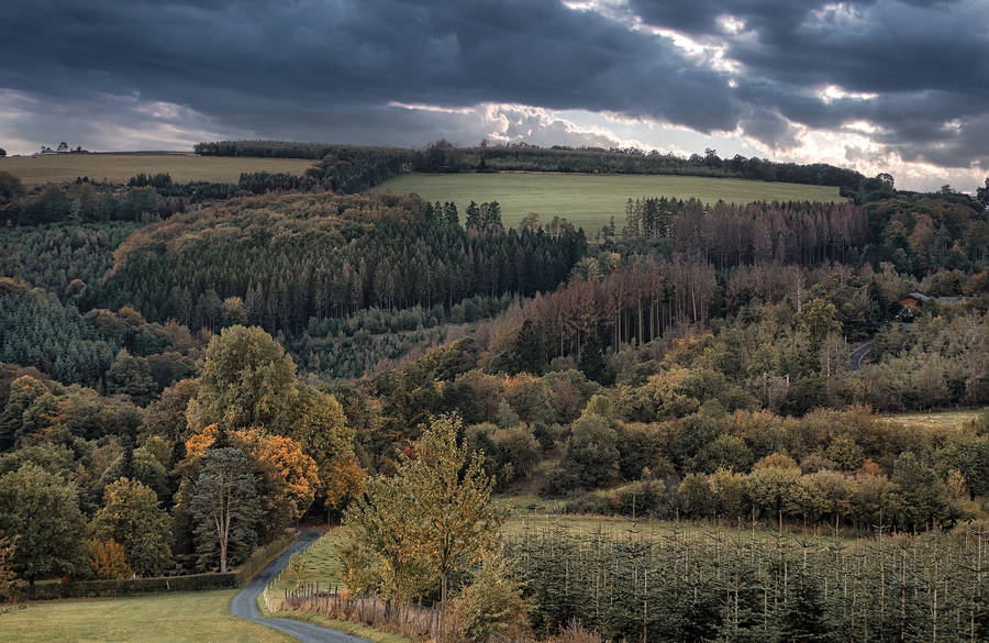 Woods In The Countryside Wallpaper