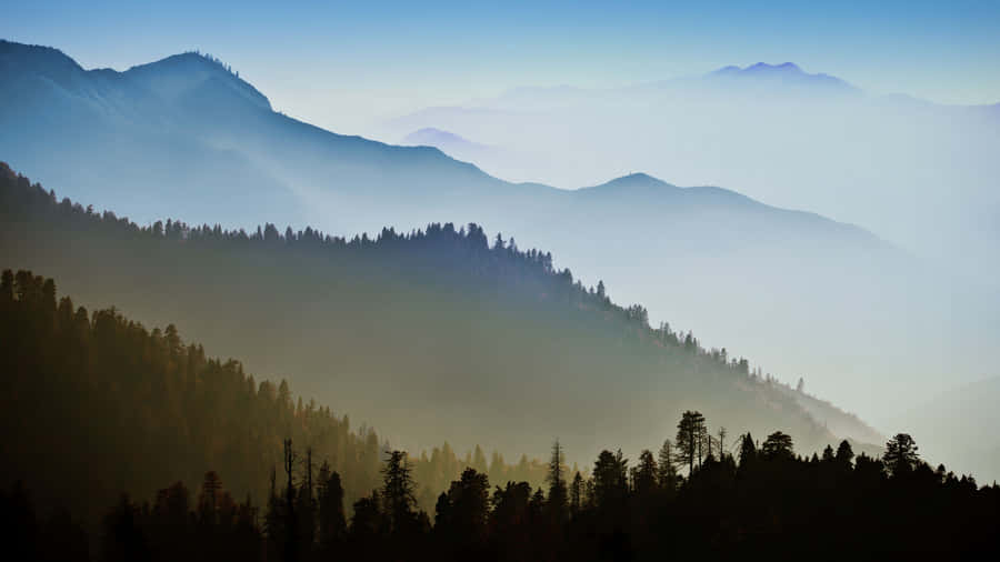 Woods Mountains California Macbook Default Wallpaper