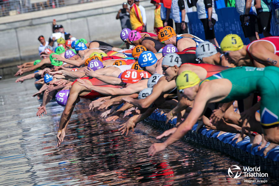 World Triathlon Championship Wallpaper