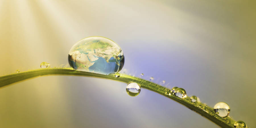 Worldin Dewdrop Desktop Wallpaper Wallpaper