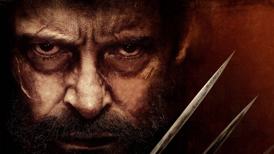 X Men Movie Logan Wallpaper