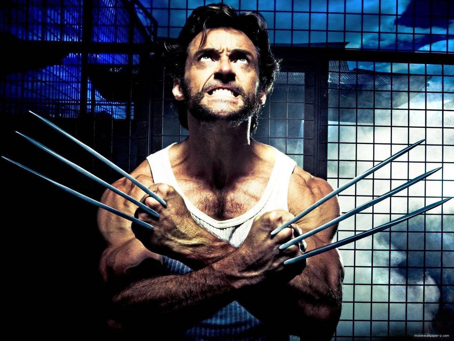 X-men Wolverine Wallpaper