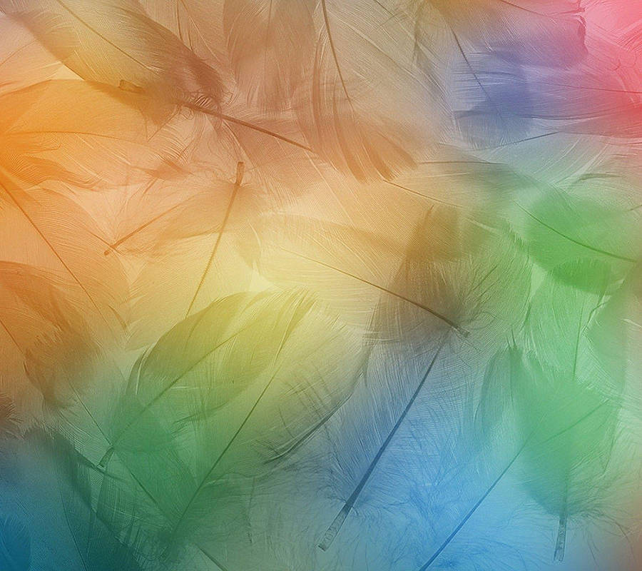 Xiaomi Colorful Leaves Wallpaper