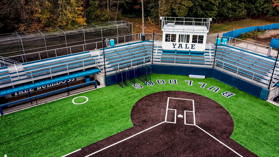 Yale University Baseball Diamond Wallpaper