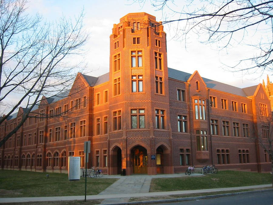 Yale University Peabody Museum Wallpaper