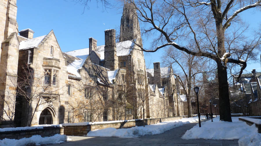 Yale University Snowy Holder Hall Wallpaper