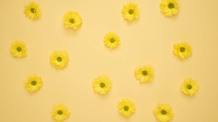 Yellow Aesthetic Flowers For Computer Wallpaper